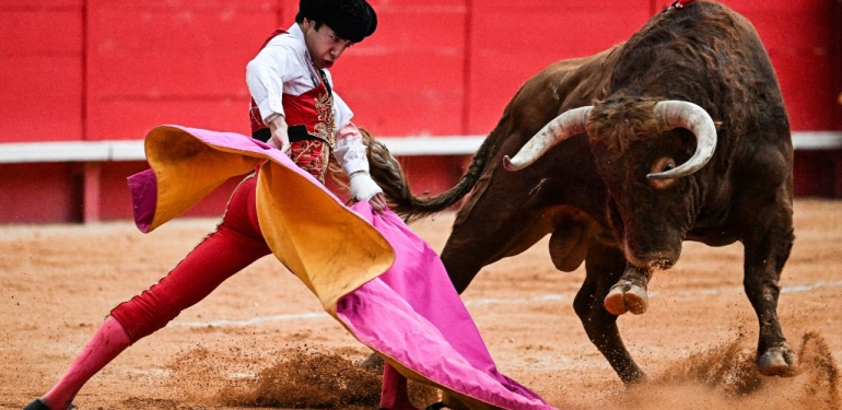 İspanya’da boğa karnavalı bu kez can aldı, 1 seyirci öldü